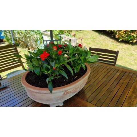 Oval Terracotta Bonsai Pot 2